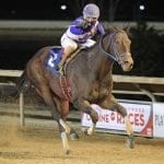 Artful Splatter retains Geisha title as Commission rejects Robb appeal