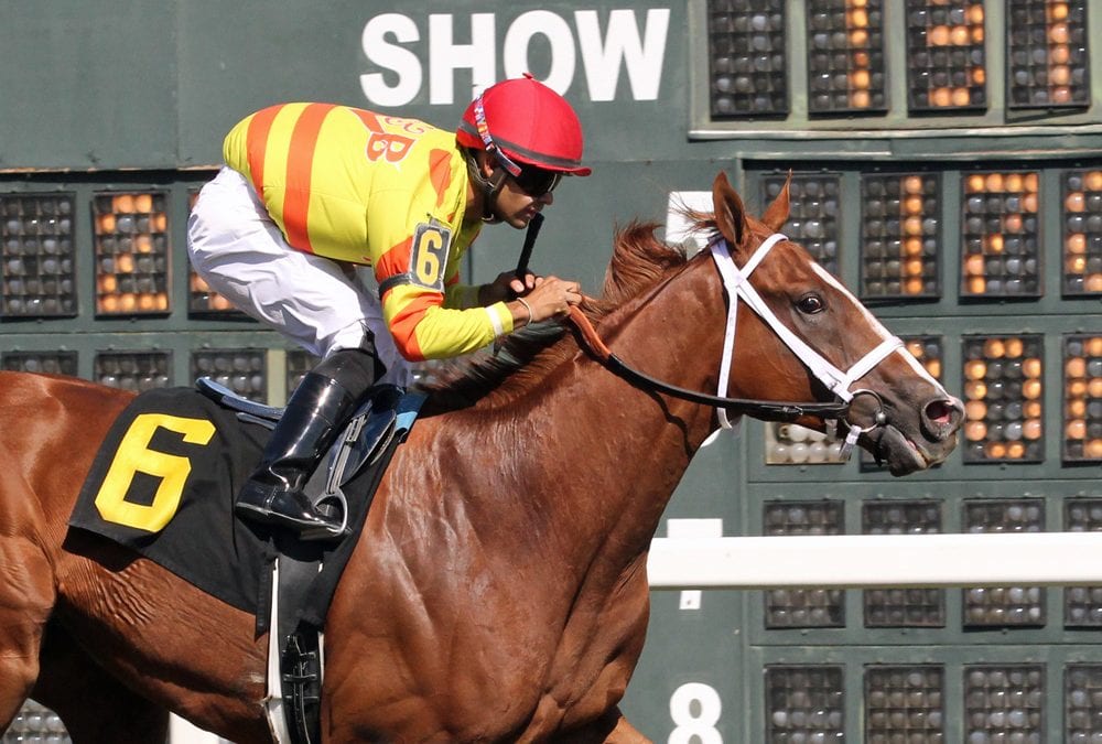 Pumpkin Rumble retires and more: The week in social media