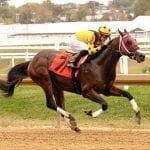 Off to the Races radio: Easter, Kelly featured