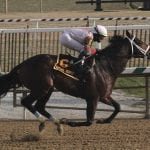 G1-placed Big City Bob heads Private Terms field