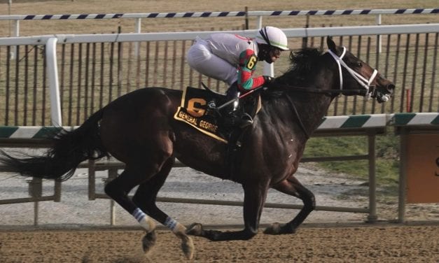 Firenze Fire, Majestic Reason “accidental” G3 winners at Laurel