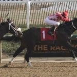 Delaware, Monmouth conditions books available