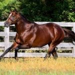 John Sadler featured on Off to the Races Radio