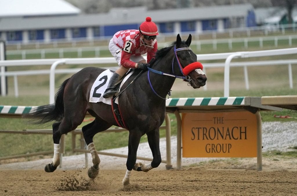 Stakes winners Lebda, Princess Cadey staying home