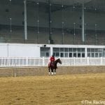 The Racing Biz, Baltimore Banner announce Preakness partnership
