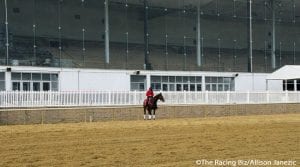 Laurel Park