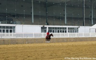 Laurel Park, Charles Town add cancellations
