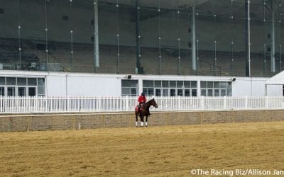 What’s being done to Laurel Park track: “A good cushion serves one purpose”