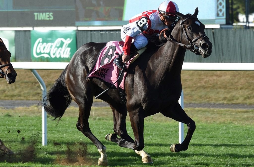 Mare Uniformly Yours paying increasing dividends