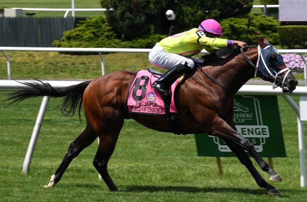 X Y Jet and the horses of the Navarro-Servis indictment