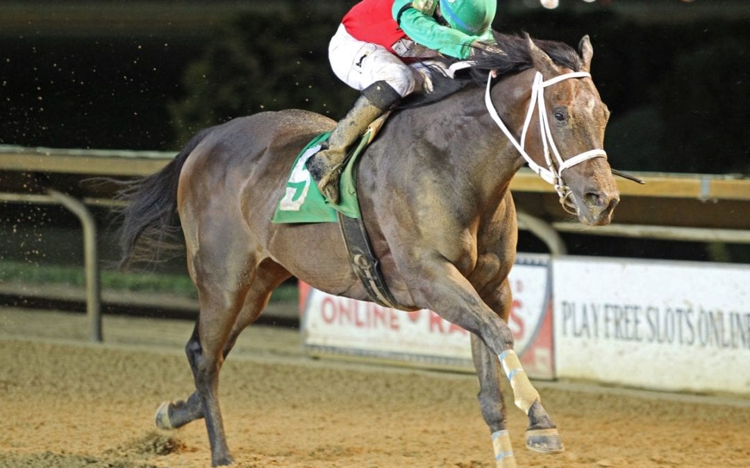 Anna’s Bandit retired