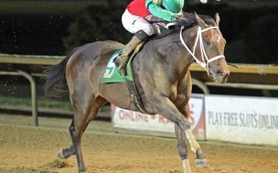 Anna’s Bandit wins to highlight CT stakes action