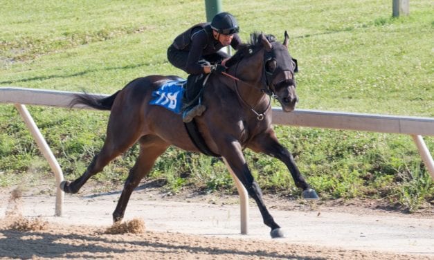 Virginia-bred brings $1.1 million at Fasig-Tipton 2yo