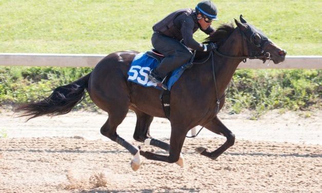 Fasig-Tipton: Tracking our hips to watch