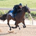 Paco Lopez gunning for 7th Monmouth title