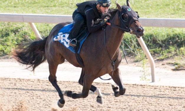 Fasig-Tipton: Candy Ride colt tops in early going