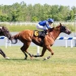 Who leads Top Midlantic Trainer ranks?