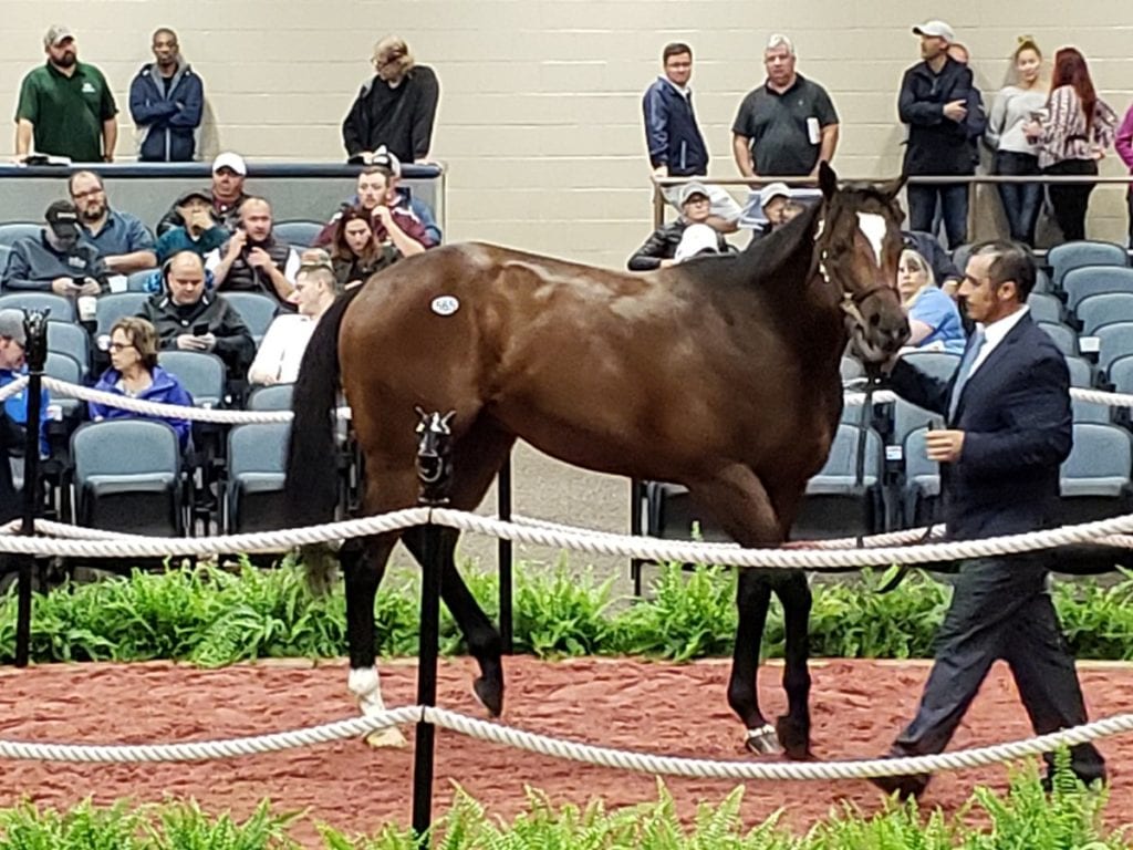 Fasig-Tipton