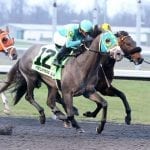 Chub Wagon on rise in Top Midlantic-bred Poll