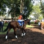 Laurel Park delays April stakes