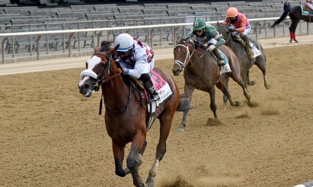 Preakness: Tiz the Law settled back in at Belmont