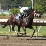 Jack the Umpire Headlines My Frenchman Stakes at Monmouth Park