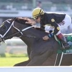 Bernardini filly takes MHBA Yearling Show