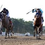 BackTracks: What a Summer, what a horse