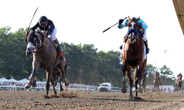 Preakness Profile: Ny Traffic