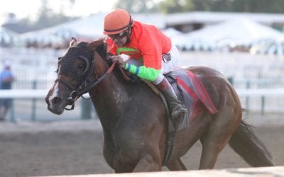 Breeders’ Cup: A big gamble on Horologist