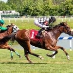 Thorpe riding Dr. Feelgood to prominence