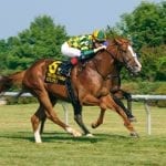 Maryland purses to get boost