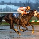 Harpers First Ride impresses in Laurel allowance