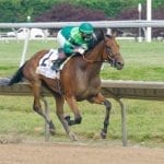 Rugged group to contest Maryland Million Classic