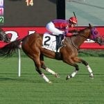Laurel Park fall meet to host 35 stakes