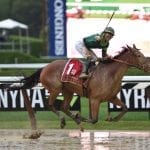 Thoroughbred Makeover canceled for 2020