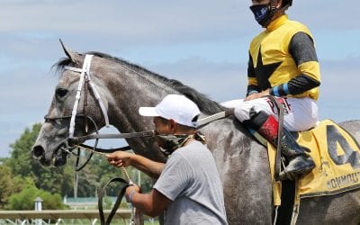 Crop rules give Monmouth Park problems