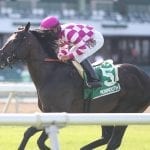 It’s Tiz the Law in NTRA Top Thoroughbred Poll