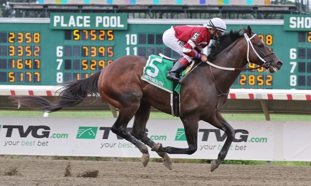 Preakness: Steve Asmussen to saddle three