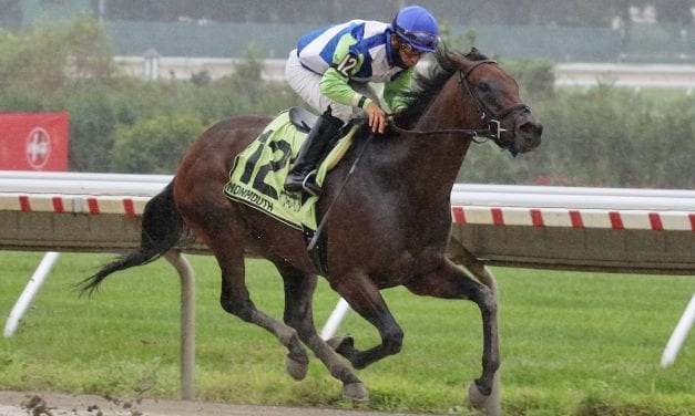 Chalon takes rainy Incredible Revenge Stakes