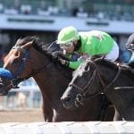 Tiz the Law heads NTRA Top Thoroughbred Poll