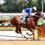 From the Spa: August 8 Midlantic-breds in Saratoga stakes
