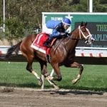 Who leads latest Top Midlantic jockey, trainer ranks?