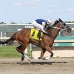 Preakness Memories: Timber Country rallies