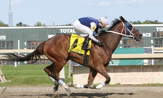 Parx: Stakes bow for undefeated Chub Wagon