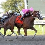 Sam Boulmetis: “The Shrimp” stood tall