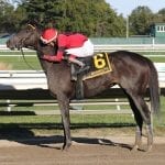 G2 winner Bonny South headed to Black-Eyed Susan