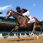 Preakness Profile: Pneumatic