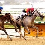 Lasix ban likely result of McConnell bill