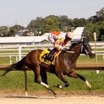 First foal a filly for Force the Pass